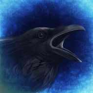 drawing of a black raven