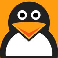 funny penguin portrait for avatar