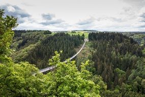 Bridge Hanging Rope