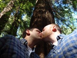 Homosexuals in the forest