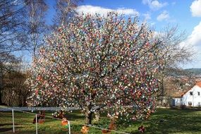 picture of the lots of easter eggs on a tree