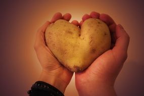 Potato in a shape of heart