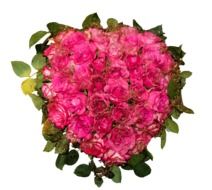 Bouquet of pink roses for Valentine's Day