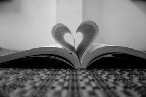 black and white photo of Heart Shape of book leaves