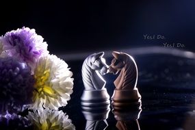 show of love in chess
