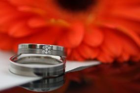 Wedding Rings and Flower