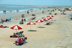 Beach Day In Georgia