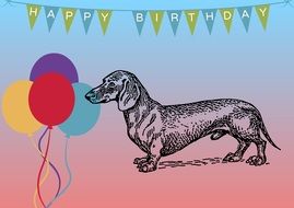 dachshund on a birthday card