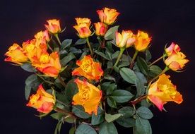 Bouquet of beautiful orange rose flowers