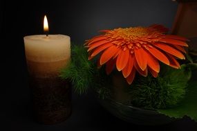 flower and candle in a graveyard