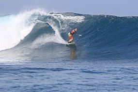 Surfing Wave