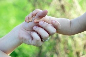 baby hand holds adult one outdoor