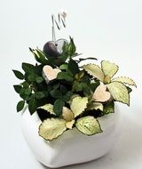 decorated potted plants