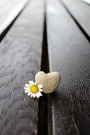 stone heart and chamomile on wooden boards