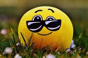 yellow smiley with glasses on the grass