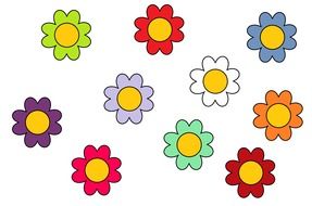 variety of colorful daisies as a graphic image