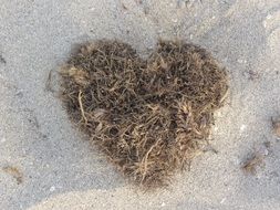 Dried seaweed in a shape of heart