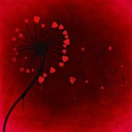 Valentine's card with dandelion with red heart petals