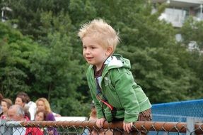 happy child on the fence