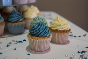 blue cream muffins stand on a table