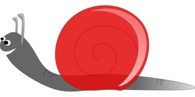 grey snail with red shell drawing