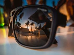 reflection of palm trees in sunglasses