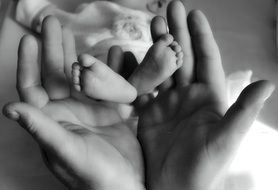 legs of a newborn in the hands of parents black white photo