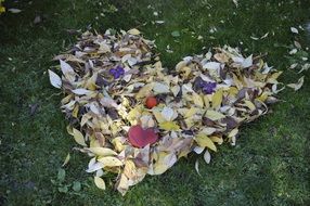 Leaves Fall heart