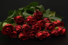 bouquet of red roses on a dark background