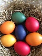 colorful eggs in the nest for easter