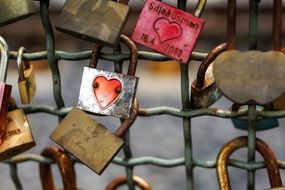 love padlocks on a metal fence