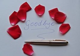 Goodbye Word and Rose Petals