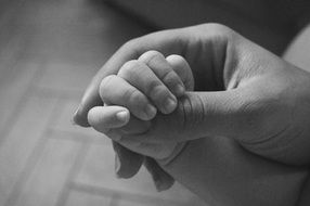 Newborn Child’s hand in adult person’s palm