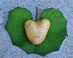 heart-shaped potato