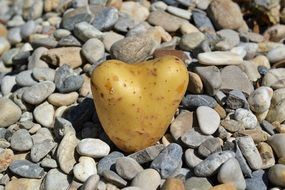 potato in the shape of a heart