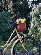 Bicycle with the flowers among green plants