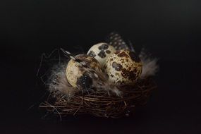 quail eggs in easter decoration