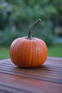 Orange Pumpkin on table outdoor