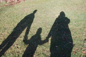 Shadow of the family