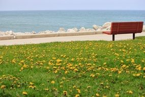 park bench with beautiful view