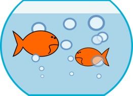 graphic image of a aquarium with goldfish