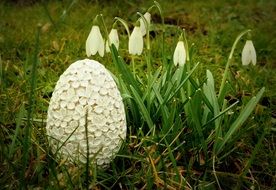 decorative Easter egg in the garden