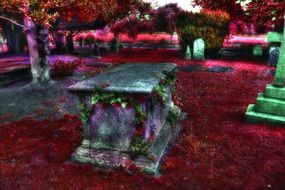 red Graveyard Cemetery