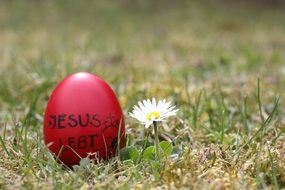 red easter egg in the meadow