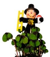 chimney sweep with lucky clovers decoration