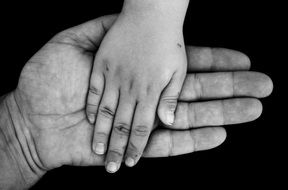 Hands Emotion