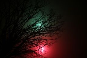 lights in the night sky for the new year
