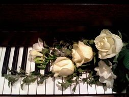 bouquet of white roses on the piano keys