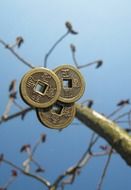 Chinese coins on a background of a tree of happiness