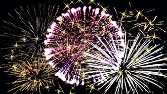 bright fireworks in the black sky